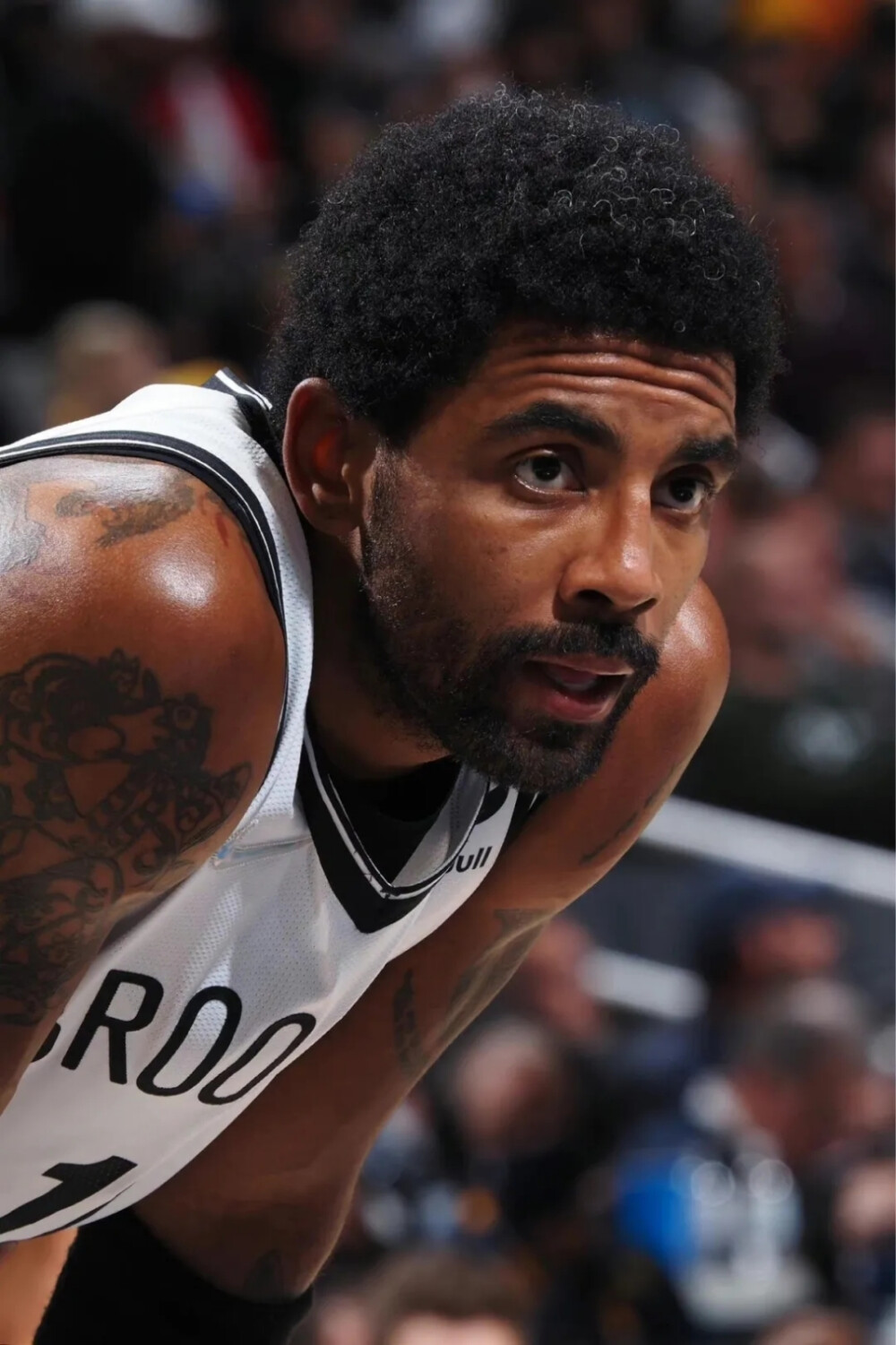 会出现明显 会出现明显